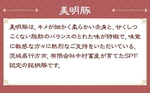 114肉の木村屋特製手作りハンバーグセット10個（美明豚5個・常陸牛5個）
