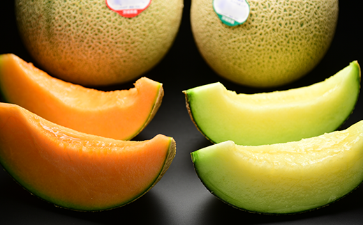 214茨城県JA水戸産メロン【秀品】大玉2玉ミックス(2.5kg)【2026年5月中旬頃より発送予定】