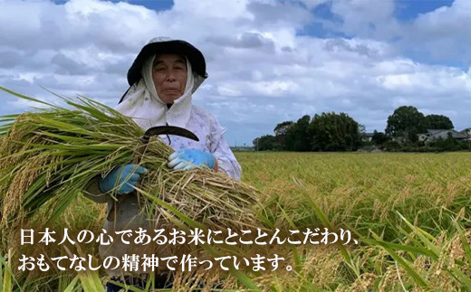 642 米粉シフォンケーキ プレーン 直径約17cm 無添加【米蔵高安】