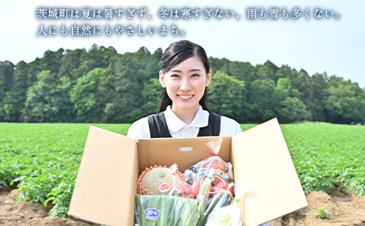 660 茨城町 冬の野菜セット さつまいも にんじん だいこん チンゲン菜 長いも 白菜