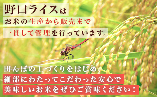 685 【令和7年産】茨城町産 無洗米 ミルキークイーン 5kg【野口ライス】