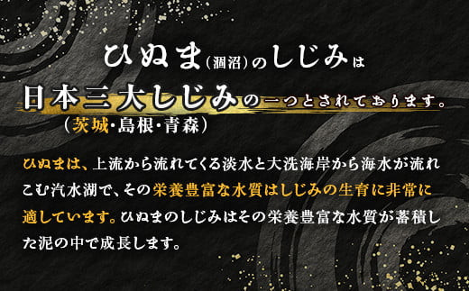 118ひぬま産採れたて大和しじみ【冷蔵】1.5kg