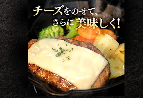 生ハンバーグ120g×12個 常陸牛 100％ 【12ヶ月連続お届け】 519