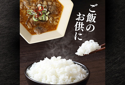 牛すじ煮込み 1.5kg 250g×6個 ピリ辛 茨城県産 ブランド牛 常陸牛 使用 523