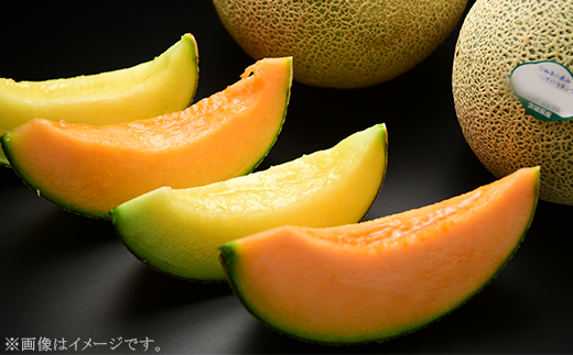 371 メロン 定期便 春メロン 秋メロン 人気 食べ比べ フルーツ 先行予約 数量限定 2回 お届け メロン好き 集合