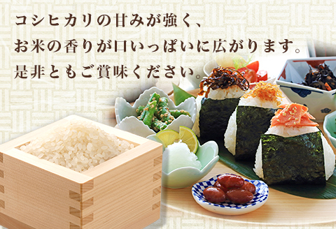 【令和7年産】コシヒカリ 2kg ファームランドさいとう569