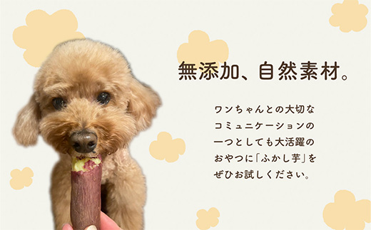 637ペット用蒸かし芋2kg（紅はるか）ペットのおやつ【茨城町農業公社】