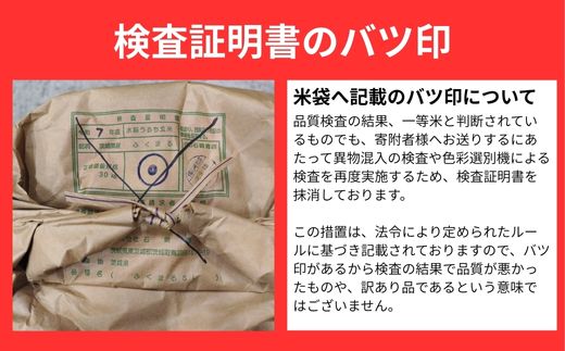 724 【令和7年産】茨城県産 玄米 ふくまる 1t 1000kg (30kg×34袋)【石崎商店】