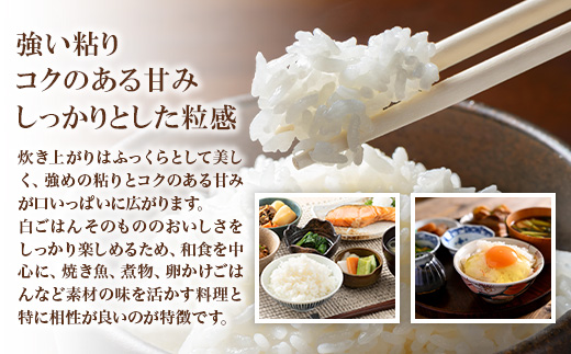 742 茨城県産 こしひかり 10kg (5kg×2袋) 令和7年産 精米【米農家もろちゃん】