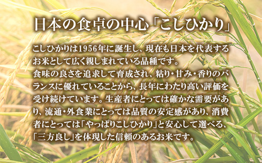 743 茨城県産 こしひかり 10kg (5kg×2袋) 無農薬 無化学肥料 令和7年産 精米【米農家もろちゃん】