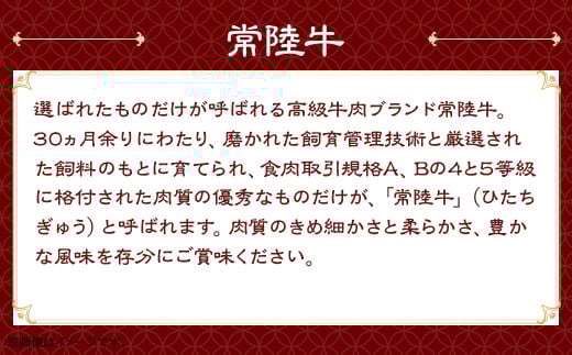 114肉の木村屋特製手作りハンバーグセット10個（美明豚5個・常陸牛5個）