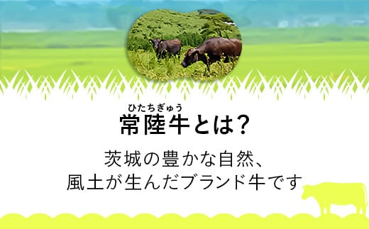 205茨城県産黒毛和牛「常陸牛」ハンバーグ約1kg（150g×7個）