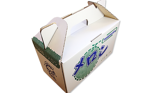 007-2 オトメメロン 秀品 2玉 約2kg 茨城県 JA水戸産