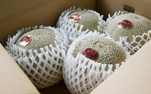 082-2 オトメメロン 秀品 3～5玉 約5kg 茨城県 JA水戸産
