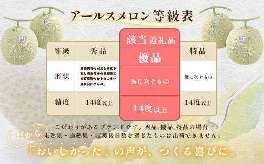 490 アールスメロン 3～5玉 約8kg 優品以上 高級 茨城 JA水戸産
