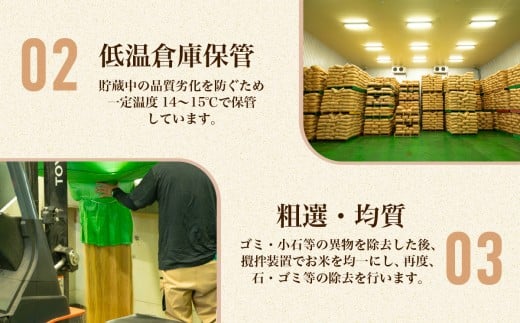 202【令和7年産】茨城県産 ミルキークイーン 10kg(5kg×2袋)【石崎商店】