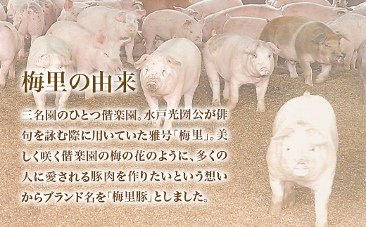 673 梅里豚 小間切れ 1kg(500g×2パック) 豚肉 国産 ブランド豚	