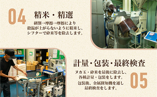 711 令和7年産 茨城県産 にじのきらめき 10kg【石崎商店】