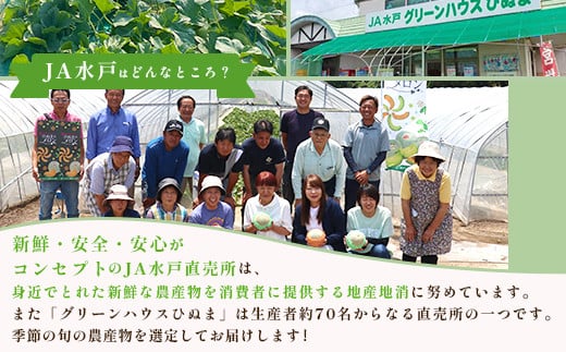 002茨城県産いちご「とちおとめ」1.04kg（4パック）【2026年1月中旬頃～3月下旬頃発送予定】
