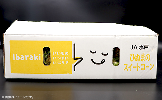 326 とうもろこし ピュアホワイト 約5kg 13本 朝採れ 白 茨城 先行予約 2026年7月頃～発送予定