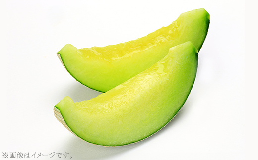 371 メロン 定期便 春メロン 秋メロン 人気 食べ比べ フルーツ 先行予約 数量限定 2回 お届け メロン好き 集合