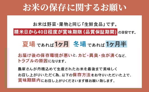 599 茨城県産にじのきらめき 5kg【株式会社桝味】