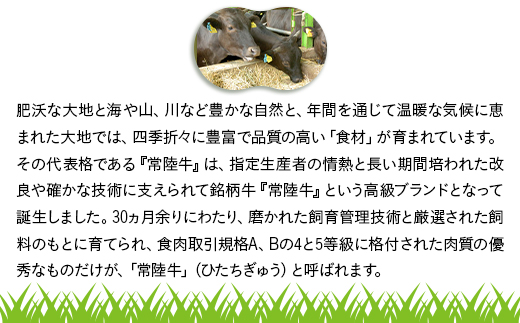 654 橋本さんちの常陸牛 黒毛和牛 切り落とし 450g【トキワフーズ】