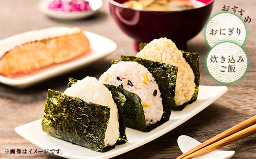 176【令和7年産】小川直也プロデュース ハッスル米 3.6kg(450ｇ×8本)【野口ライス】