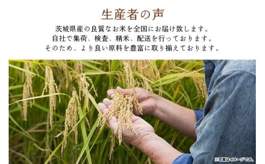 724 【令和7年産】茨城県産 玄米 ふくまる 1t 1000kg (30kg×34袋)【石崎商店】