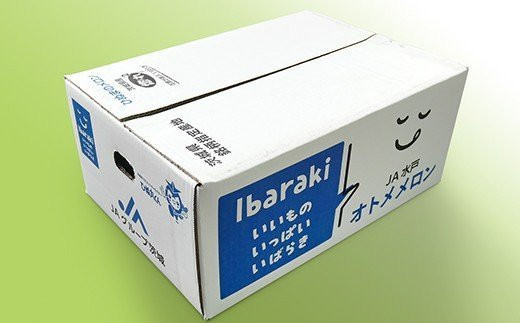 082-2 オトメメロン 秀品 3～5玉 約5kg 茨城県 JA水戸産