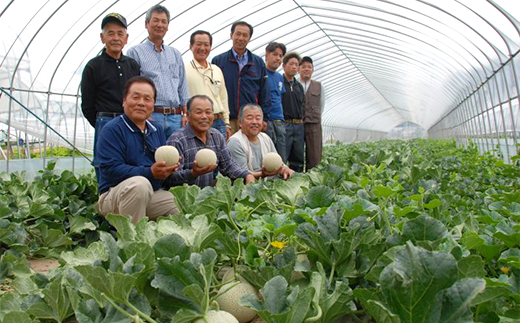 007-2 オトメメロン 秀品 2玉 約2kg 茨城県 JA水戸産