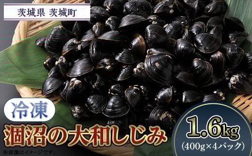 054涸沼の大和しじみ【冷凍】1.6kg（400g×4パック）