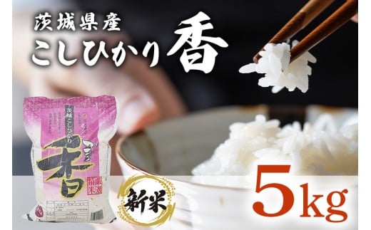 094【令和7年産】茨城県産 こしひかり香 5kg【石崎商店】