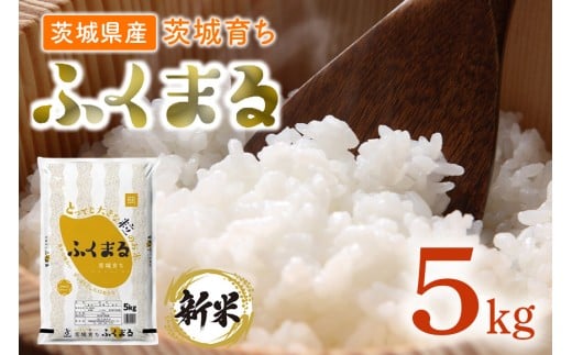 096【令和7年産】茨城県産 ふくまる 5kg【石崎商店】