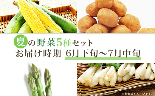 658 茨城町 夏の野菜セット とうもろこし じゃがいも エシャロット 小松菜 アスパラガス