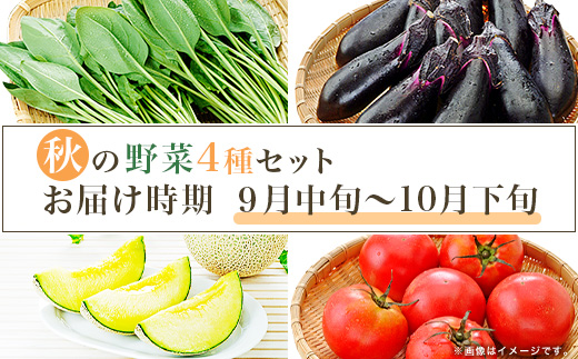 659 茨城町 秋の野菜セット メロン ほうれん草 トマト なす