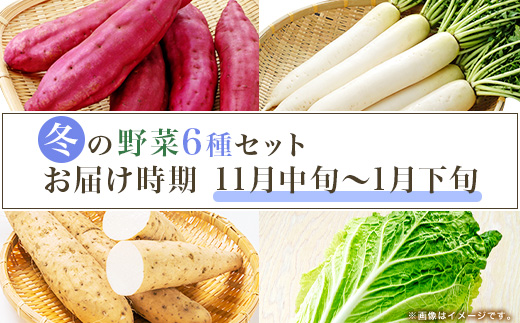 660 茨城町 冬の野菜セット さつまいも にんじん だいこん チンゲン菜 長いも 白菜