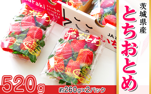 661 茨城県産いちご「とちおとめ」520g（2パック）【2026年1月中旬頃～3月下旬頃発送予定】