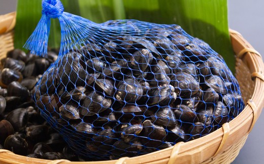 118ひぬま産採れたて大和しじみ【冷蔵】1.5kg
