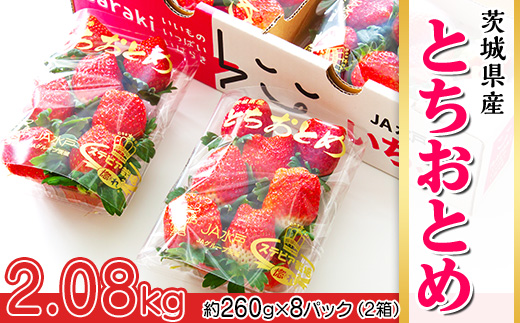 200茨城県産いちご「とちおとめ」2.08kg（2箱8パック）【2026年1月中旬頃～3月下旬頃発送予定】