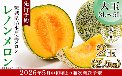 213 レノンメロン 秀品 大玉 2玉 約2.5kg 茨城県 JA水戸産 めろん 赤肉 先行予約 2026年5月中旬頃より発送予定