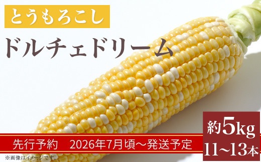 324 とうもろこし ドルチェドリーム 約5kg 11～13本 朝採れ バイカラー 黄 白 茨城 先行予約 2026年7月頃～発送予定