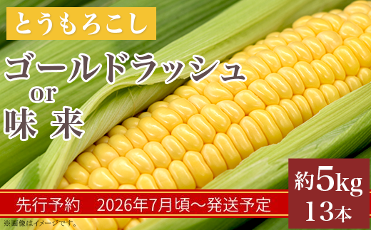 325 とうもろこし ゴールドラッシュ or 味来 約5kg 13本 朝採れ 黄 茨城 先行予約 2026年7月頃～発送予定