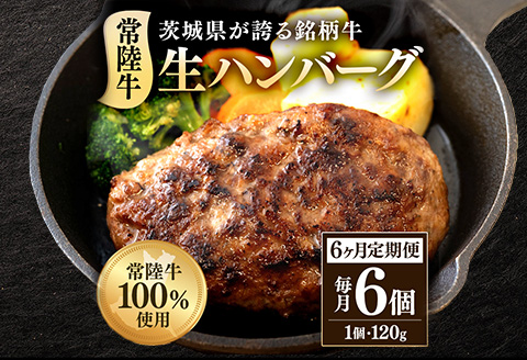 生ハンバーグ120g×6個 常陸牛 100％ 【6ヶ月連続お届け】 514