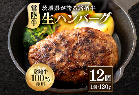 生ハンバーグ120g×12個 常陸牛 100％ 516