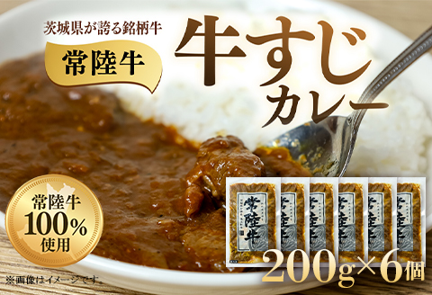 牛すじカレー 200g×6個 茨城県 ブランド牛 常陸牛 使用 521