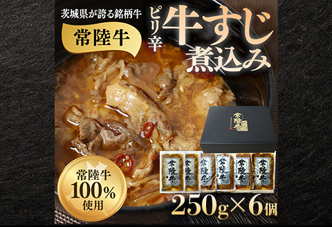 牛すじ煮込み 1.5kg 250g×6個 ピリ辛 茨城県産 ブランド牛 常陸牛 使用 523