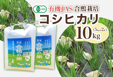 【令和7年産】コシヒカリ 10kg ファームランドさいとう 571
