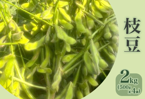 576【先行予約】枝豆 2kg 500g × 4袋 ファームランドさいとう（7月下旬頃より順次発送）