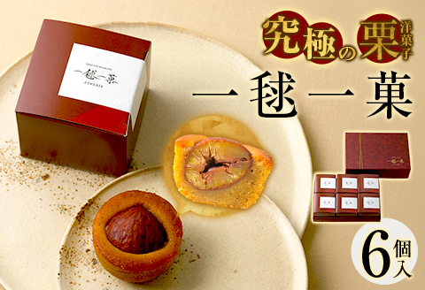 588 一毬一菓（6個入） CINARIS